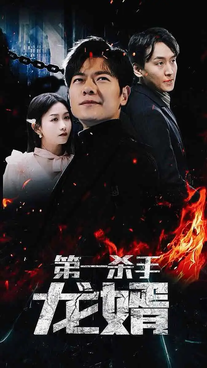 第一杀手龙婿(100集)