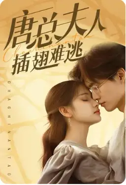 唐总夫人不好惹(96集)