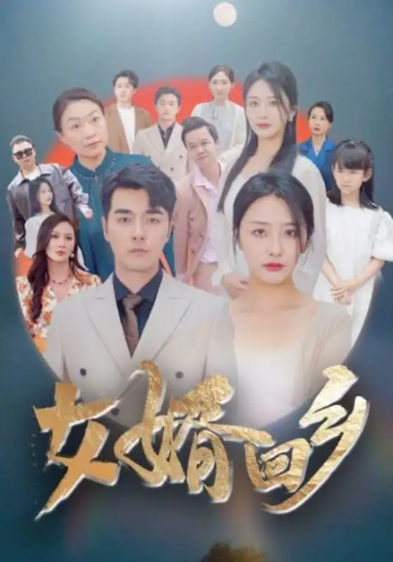 女婿回乡(120集)