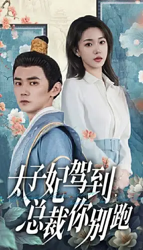 太子妃驾到,总裁你别跑(80集)