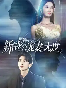 离婚后前任老公宠妻无度(82集)李艾笑