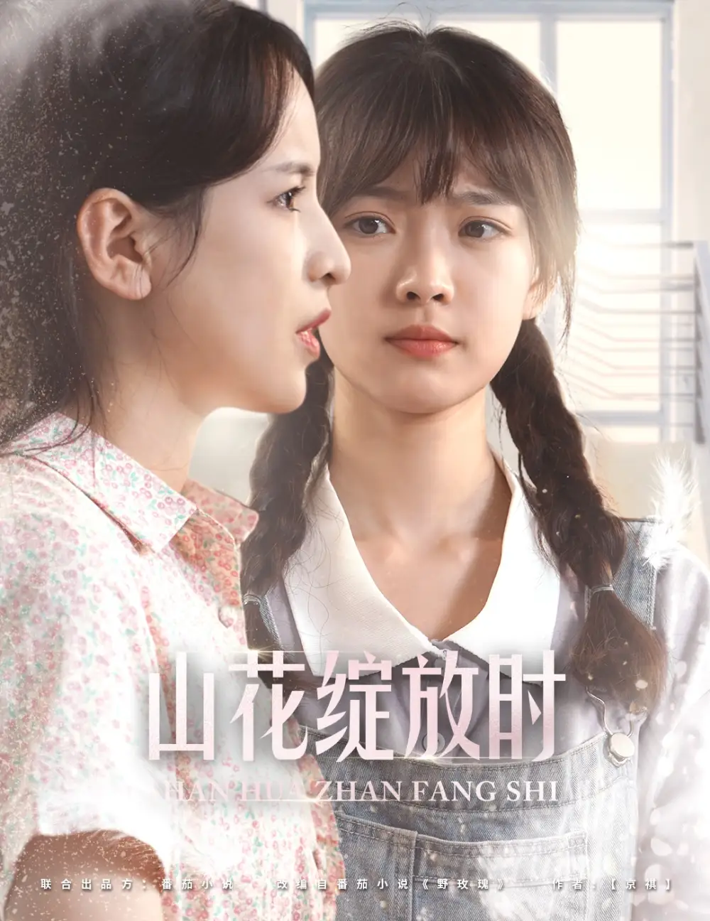 山花绽放时(55集)