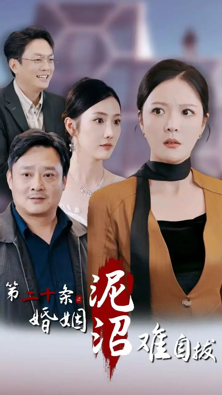 第二十条之婚姻沼泥沼难自拔(31集)李明
