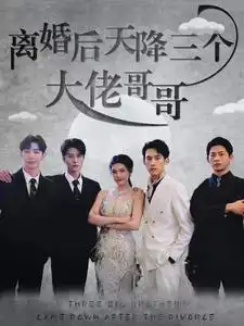 离婚后天降三个大佬哥哥(83集)