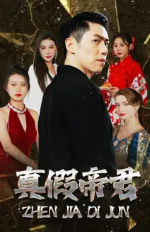 真假帝君(83集)