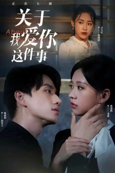 关于我爱你这件事(83集)陈政阳&柴慧欣