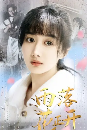 雨落花正开(62集)
