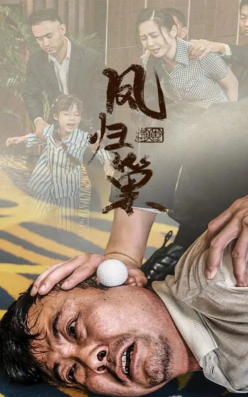 凤归巢(68集)