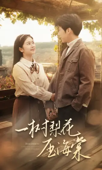 一树梨花压海棠&新:我在八零年代当后妈(82集)