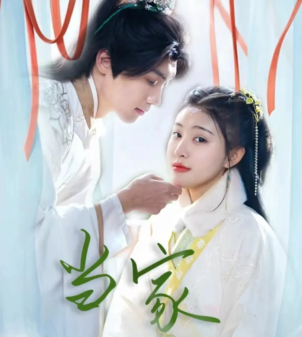 傻子王爷娇宠妃&当家（50集）
