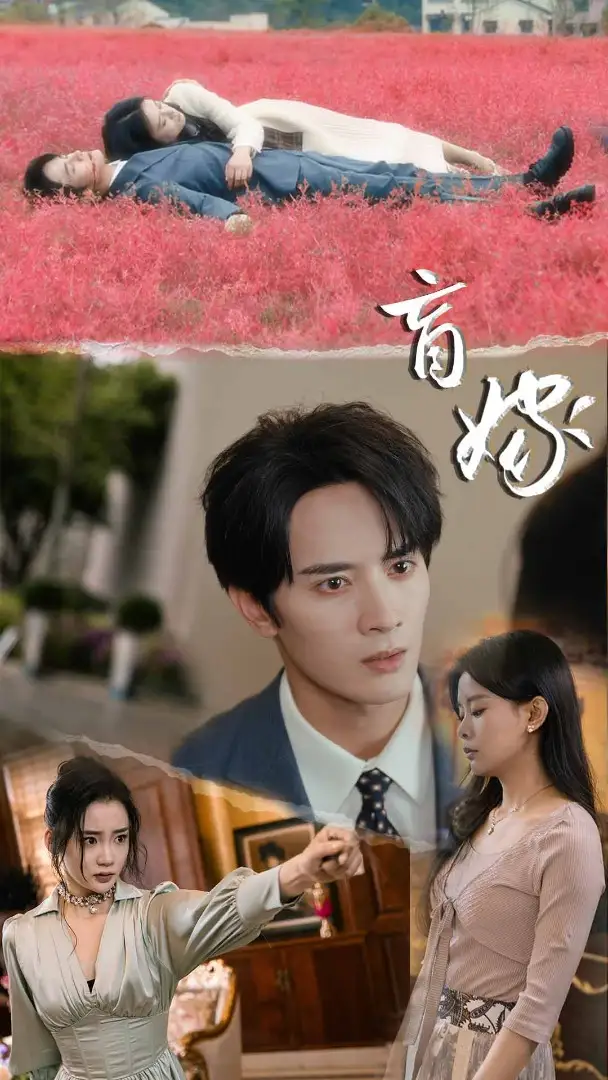 盲嫁(74集)陈冠峄&陆姝含