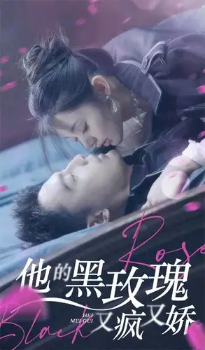 他的黑玫瑰又疯又娇(81集)