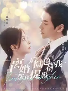 离婚后陆总倒追我帮我提鞋(100集)丁晓