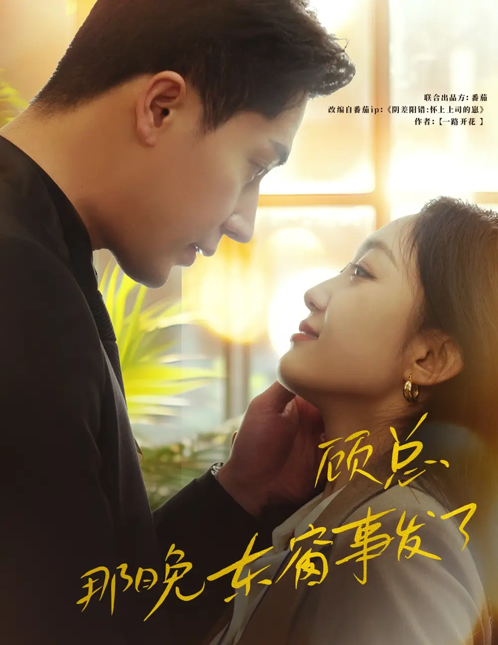 顾总,那晚东窗事发了(88集)