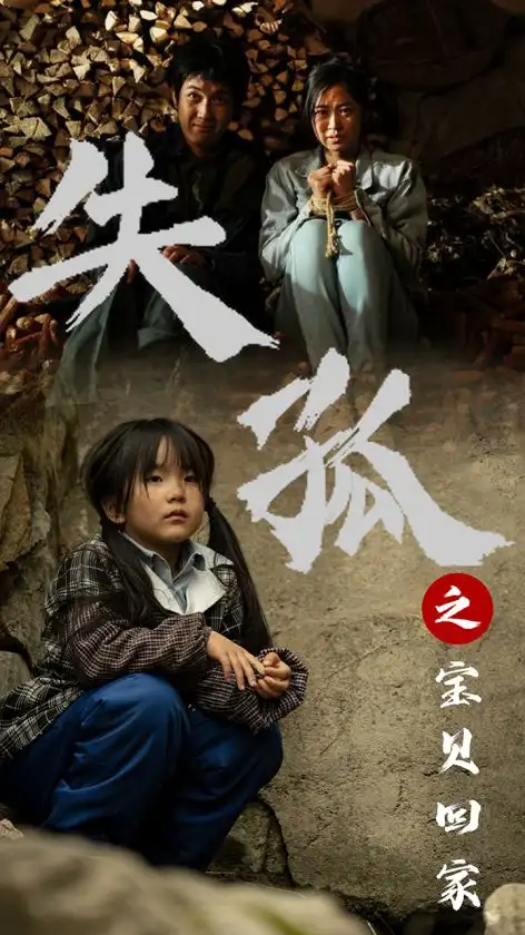 失孤之宝贝回家(71集)