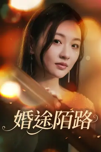婚途陌路(15集)