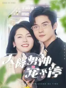 天降男神宠不停(100集)