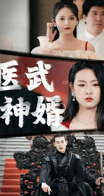 医武神婿(90集)