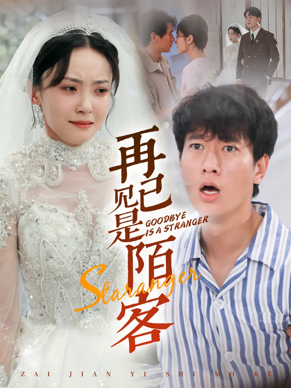 再见已是陌客(55集)张子安