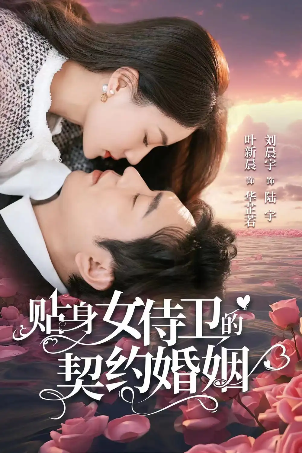 贴身女侍卫的契约婚姻(91集)