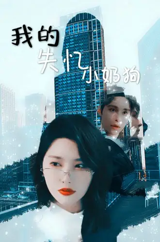 我的失忆小奶狗(64集)秦天爱&柯俊
