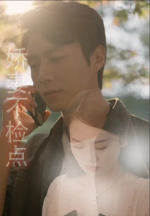 娇妻不检点(87集)