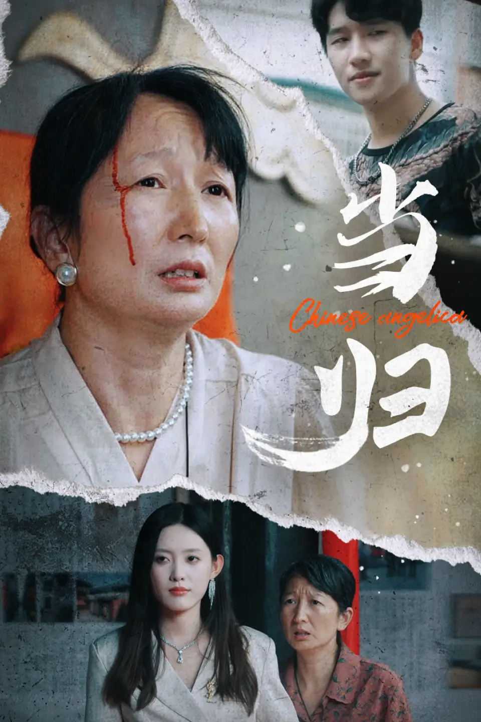 当归(50集)