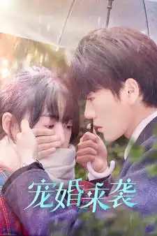 宠婚来袭(102集)