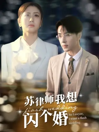 苏律师我想闪个婚&苏大律的社畜女友(95集)
