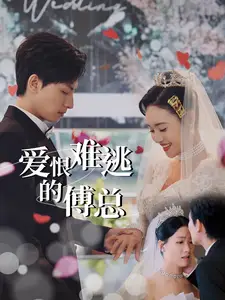 爱恨难逃的傅总(82集)