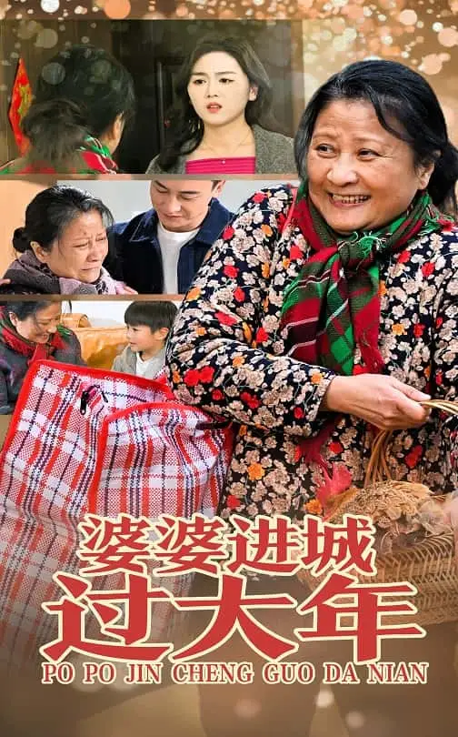 婆婆进城过大年(33集)