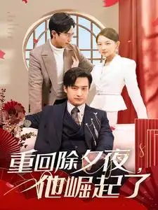 重回除夕夜,他崛起了(89集)