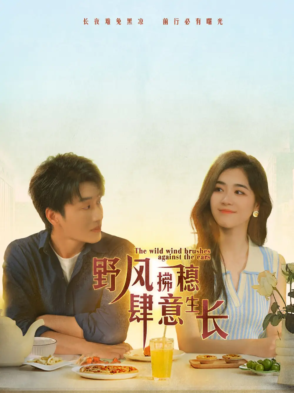 11676-野风拂穗肆意生长(48集)