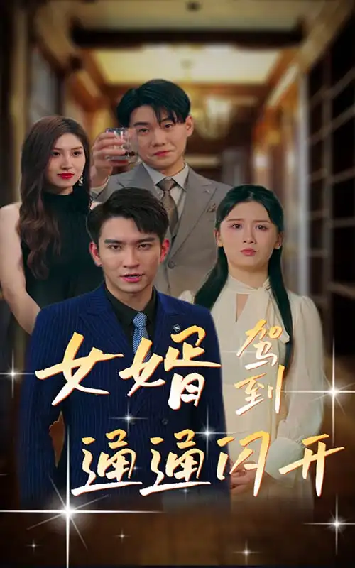9233-女婿驾到,通通闪开(34集)