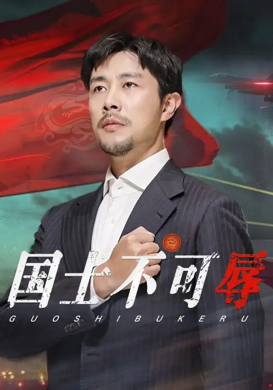 13742-国士不可辱(36集)