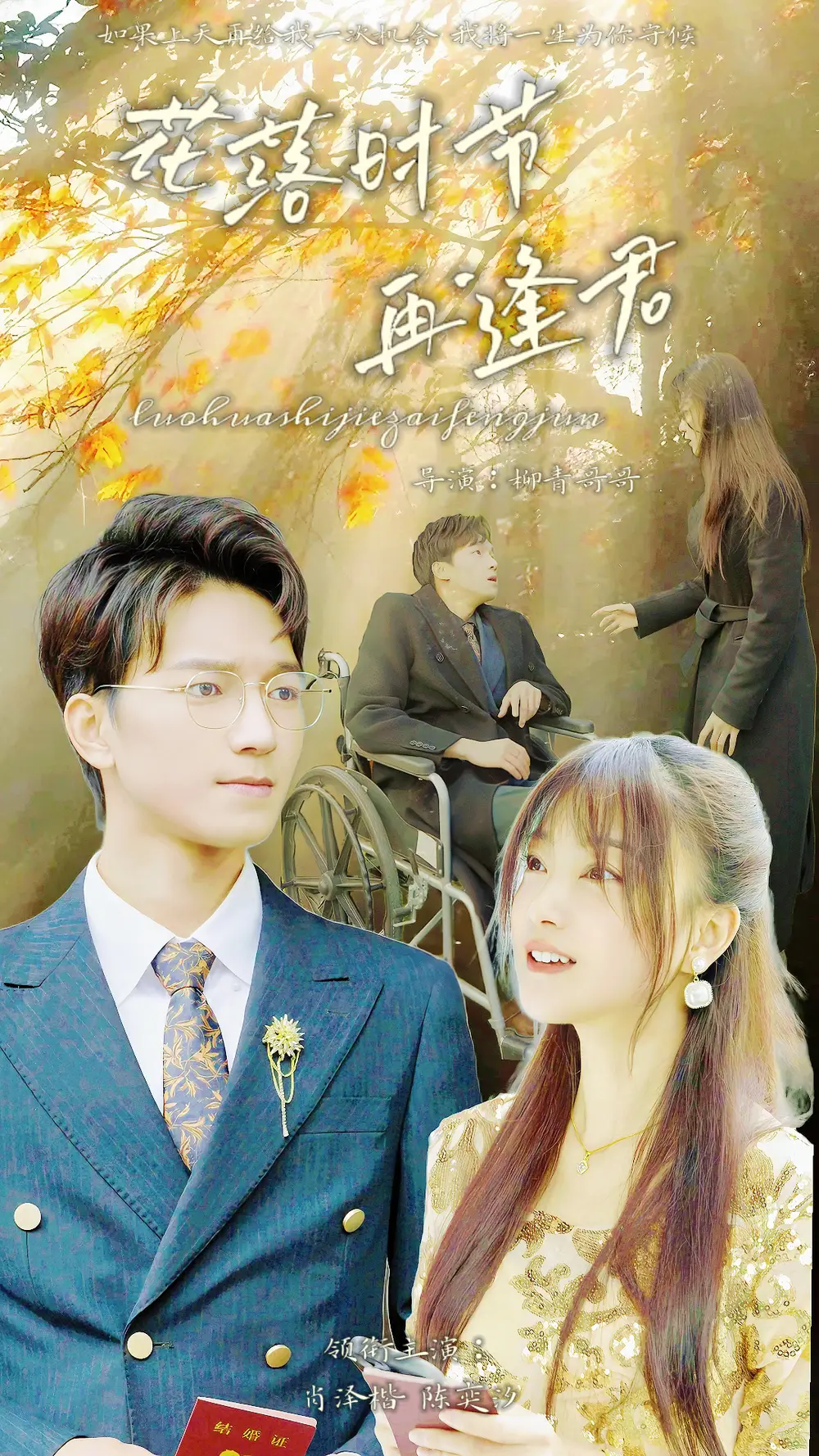 8775-落花时节再逢君(82集)