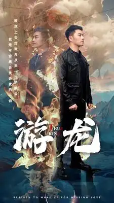 8711-游龙(74集)