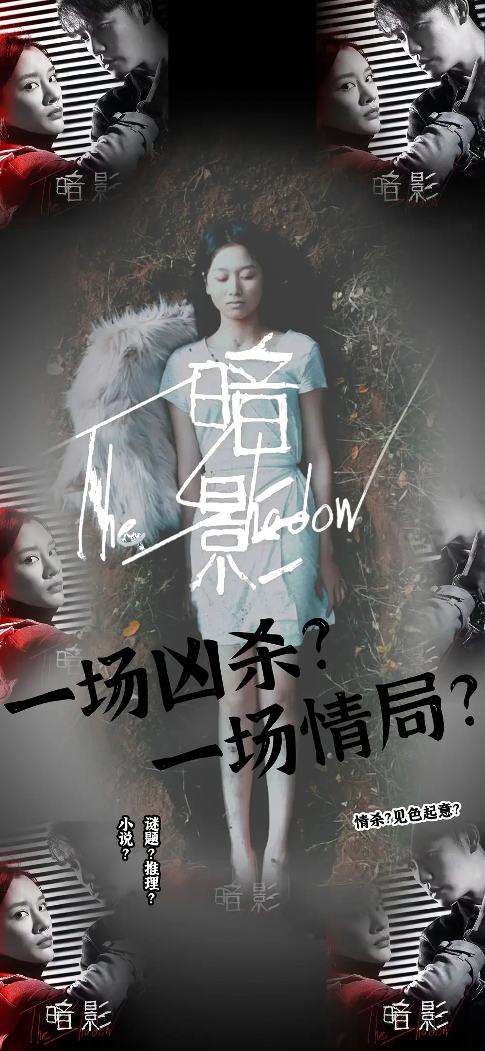 13729-暗影(50集)