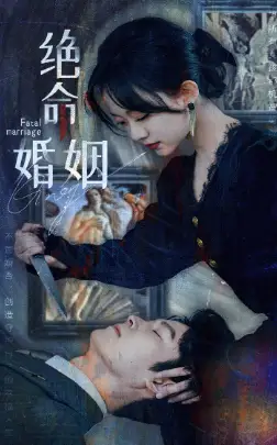 8729-绝命婚姻（90集）侯呈玥