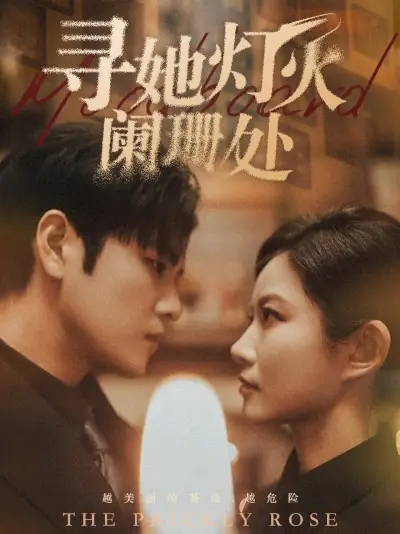 7785-寻她灯火阑珊处(61集)