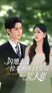 短剧-闪婚之捡来的上门女婿是大佬(79集)