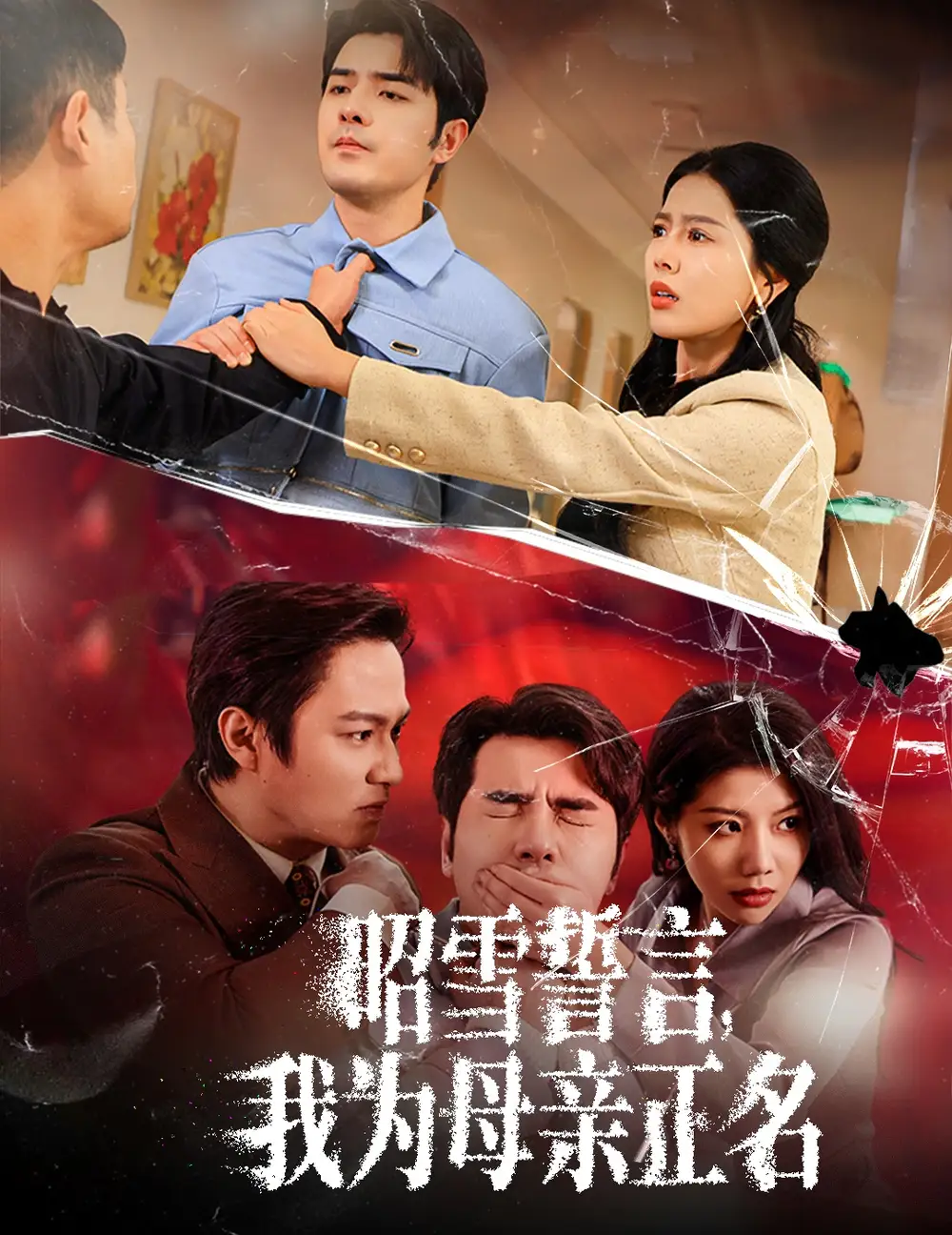 昭雪誓言，我为母亲正名（60集）丁海霞