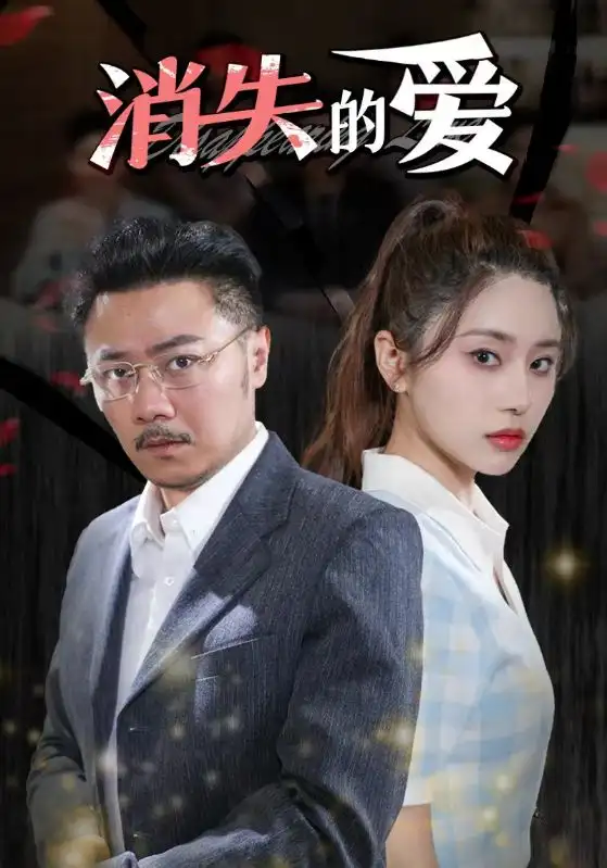 8345-消失的爱(101集)