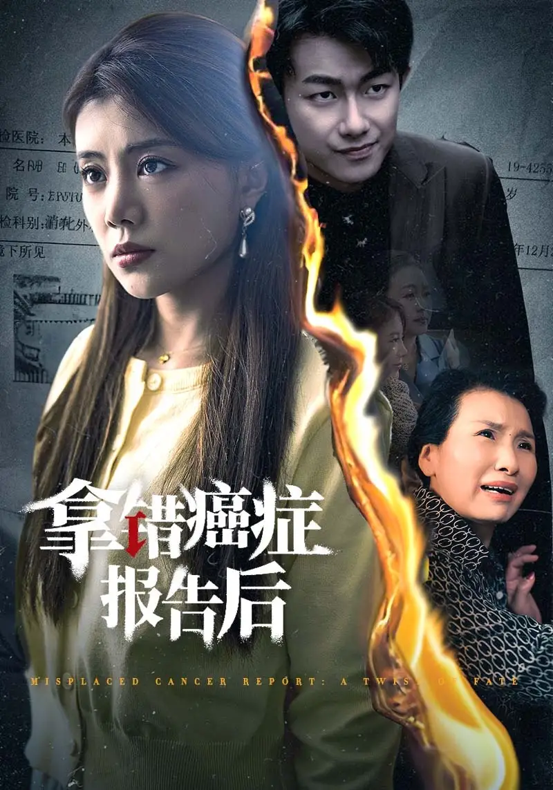13702-拿错癌症报告后(33集)