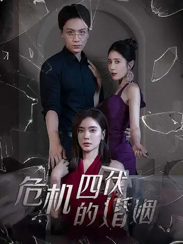 ??危机四伏的婚姻（56集）