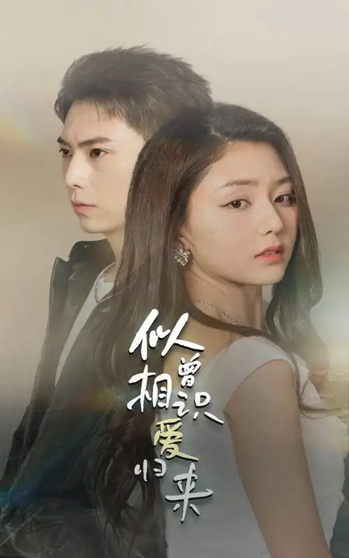 8430-似曾相识爱归来(77集)