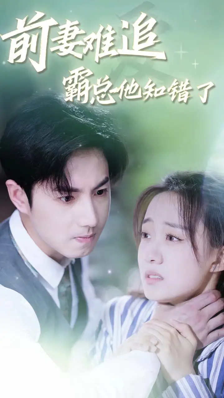 8684-前妻难追,霸总他知错了(87集)侯呈月
