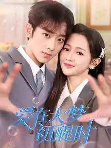 爱在大梦初醒时(100集)