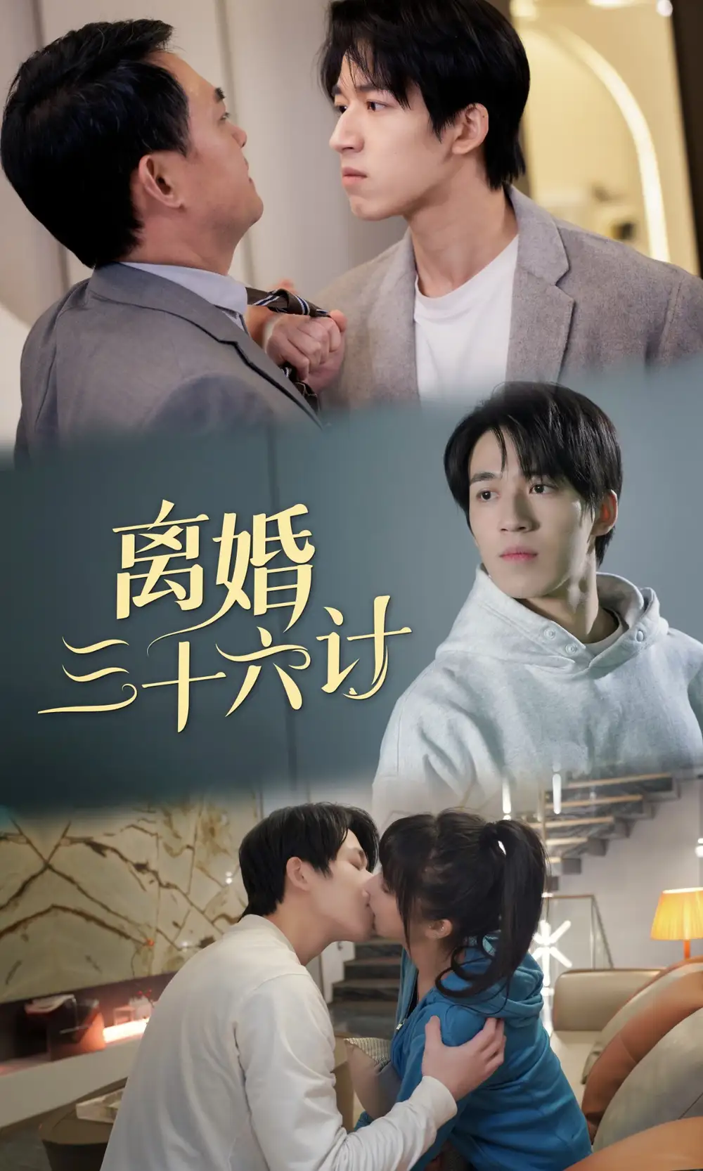 8528-离婚三十六计(96集)