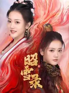 昭雪录(30集)